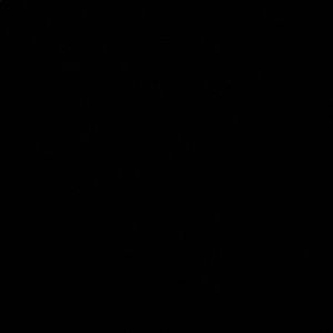 Meet your Posher, Vida